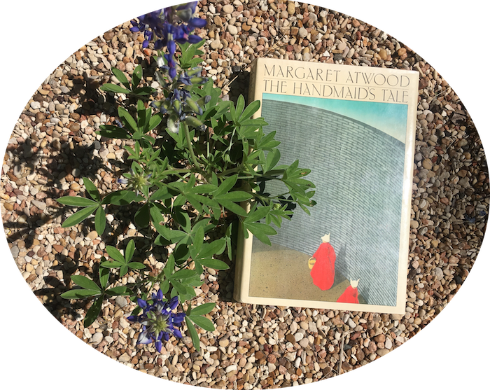 1986 hardback copy of Margaret Atwood's The Handmaid's Tale next to bluebonnets